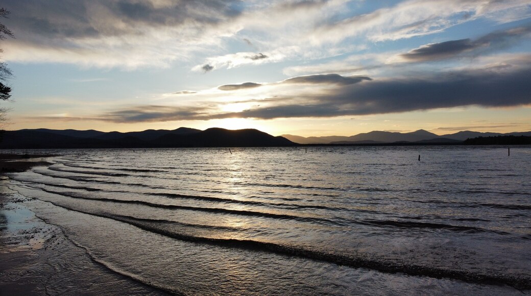 センター オシピー