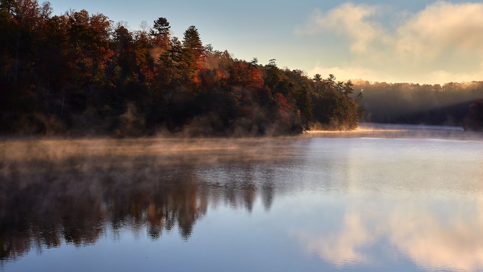 A calm lake with reflections of trees and a misty forest.