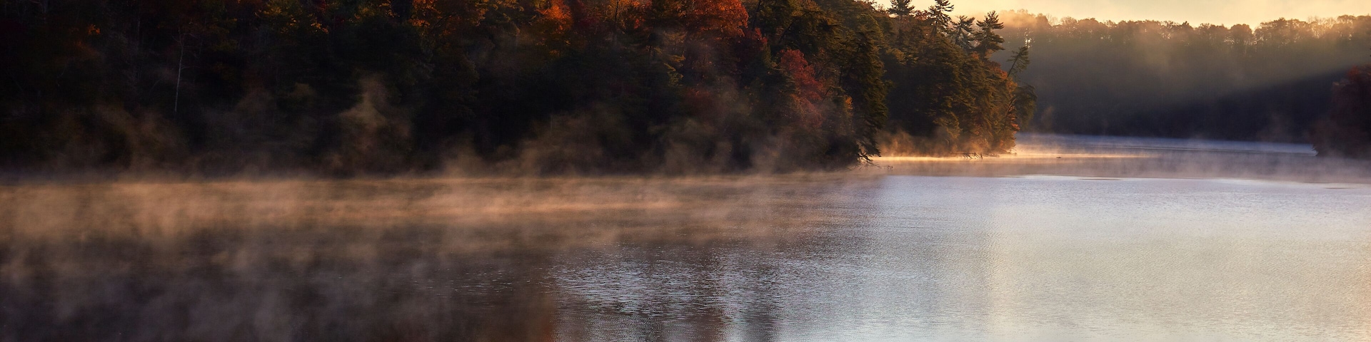 A calm lake with reflections of trees and a misty forest.