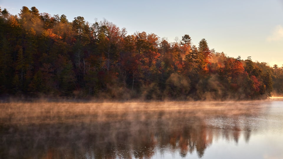 A calm lake with reflections of trees and a misty forest in the background.