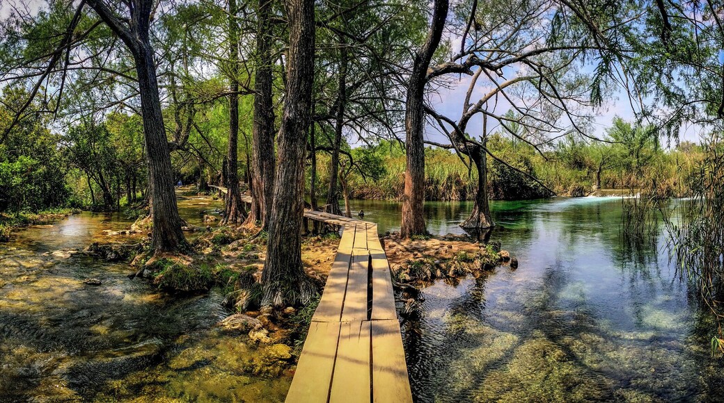 Chiapas is one of the best places to enjoy what Mexico's #nature offers. This is a small region near the border with Guatemala full with lakes, waterfalls, rivers and mayan ruins, This lakes are not among the most visited places in the area, but are the best hidden gem of Chiapas.