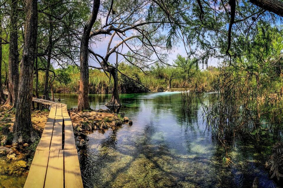 A forested area with a clear waterway, a wooden bridge, and a small island with a thatched structure.