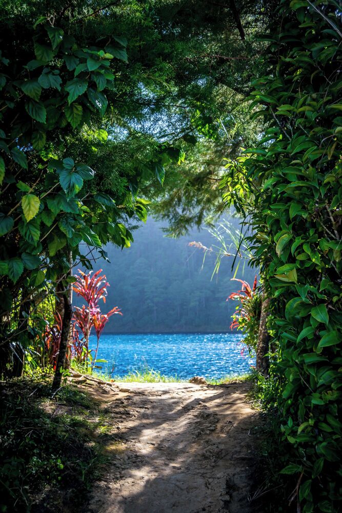 The entrance to paradise is in Lake Pojoj. 