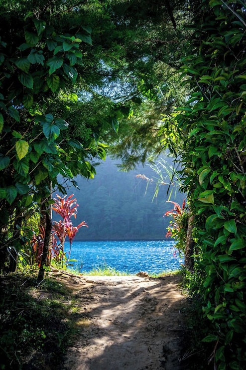The entrance to paradise is in Lake Pojoj.