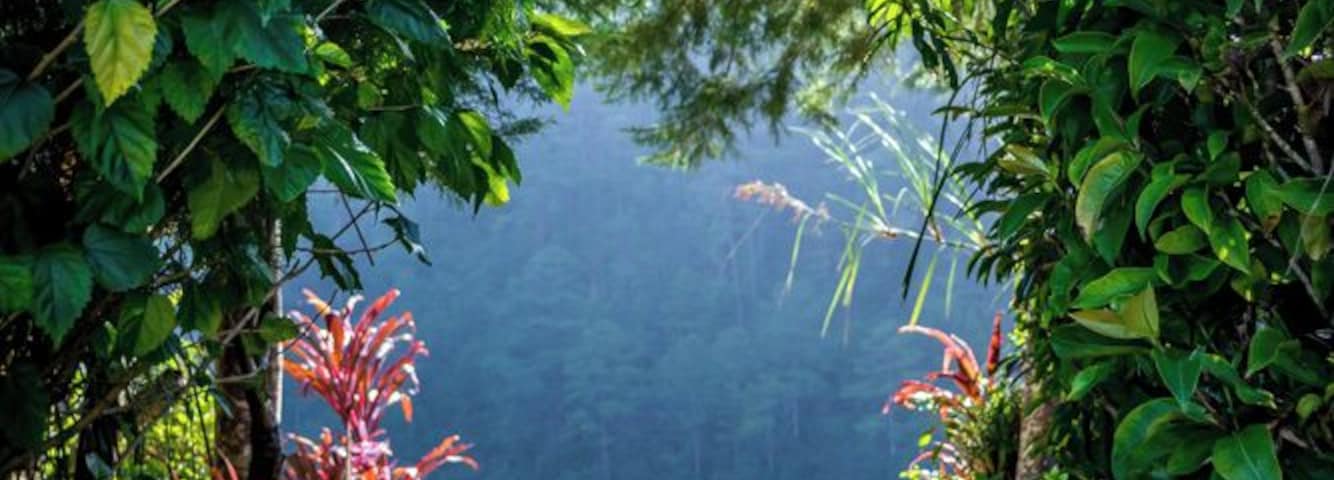 The entrance to paradise is in Lake Pojoj.