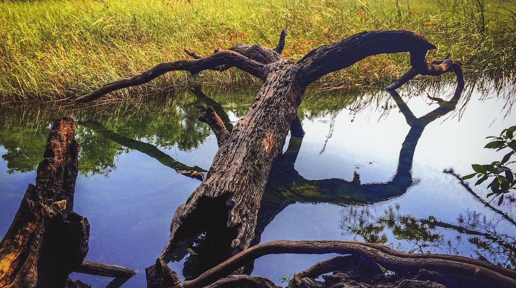 Deep in the jungle, in the border between Mexico and Guatemala is Lagos de Colón. Here the border is blurred and one can be in Guatemala at any given time. Lakes, Mayan ruins, waterfalls and small villages are the landscape of this magical place #Golden