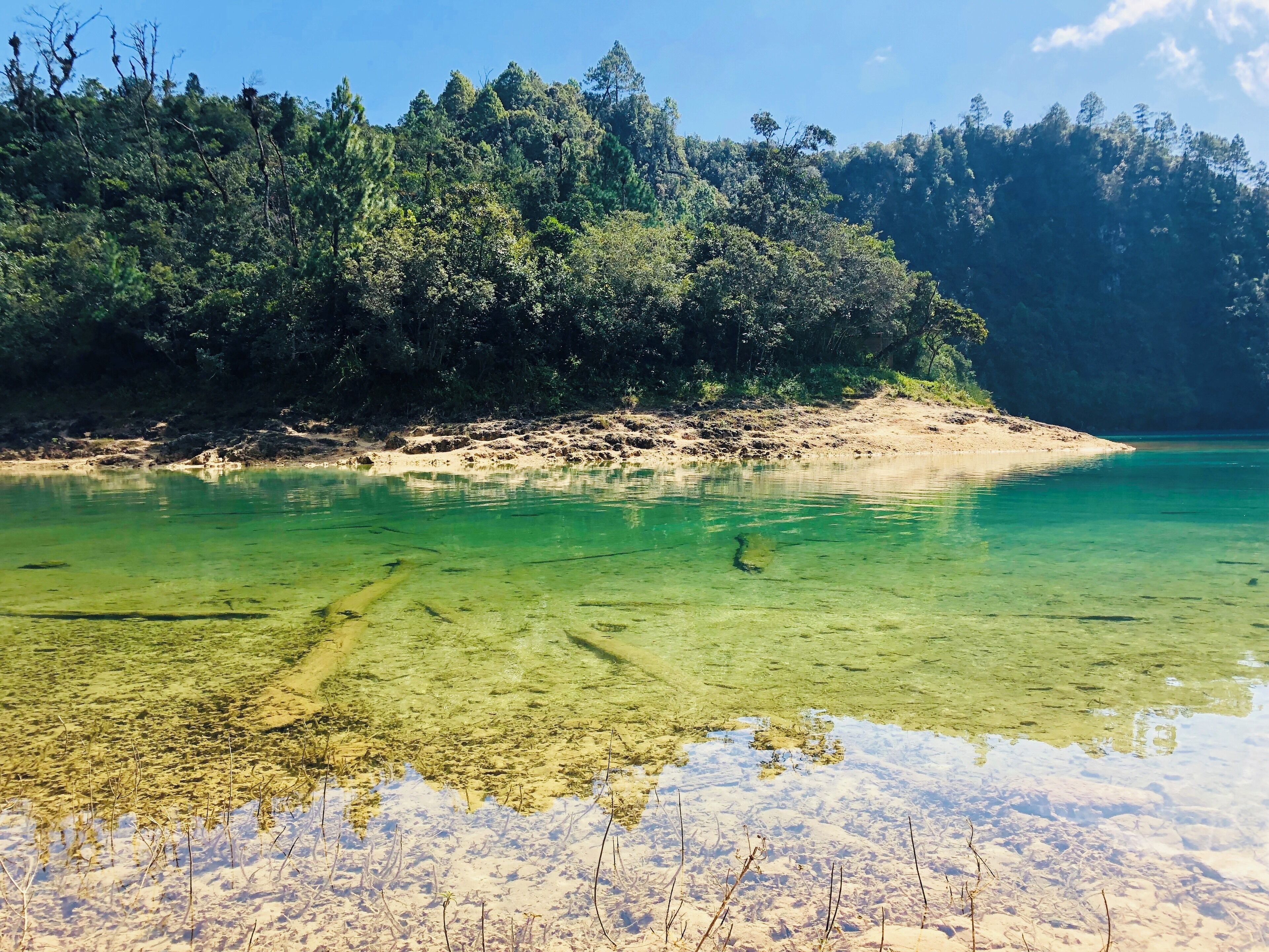 #chiapas #culture this lake is kept by the community as intact as ever #nature #lake