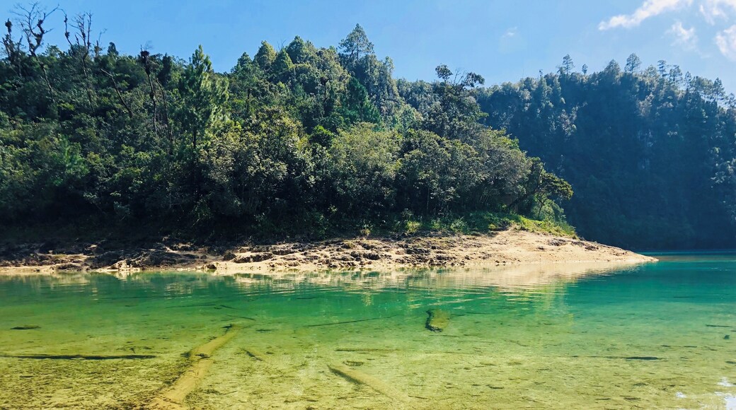 #chiapas #culture this lake is kept by the community as intact as ever #nature #lake