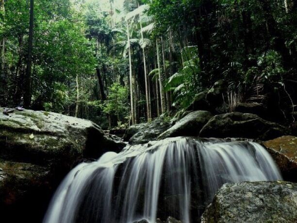 Mt Warning after the rain, beautiful
#green #lifeatexpedia #home