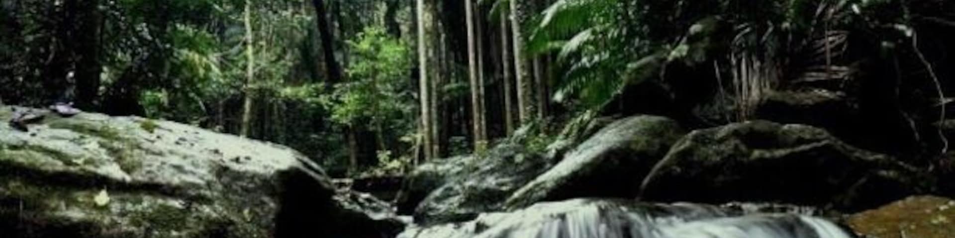 Uma cascata em área arborizada, com pedras grandes e vegetação densa.