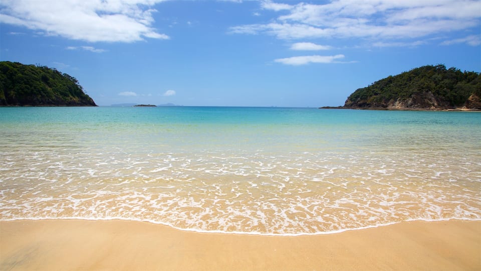 A beach with clear turquoise water, sandy shore, and green hills in the background.