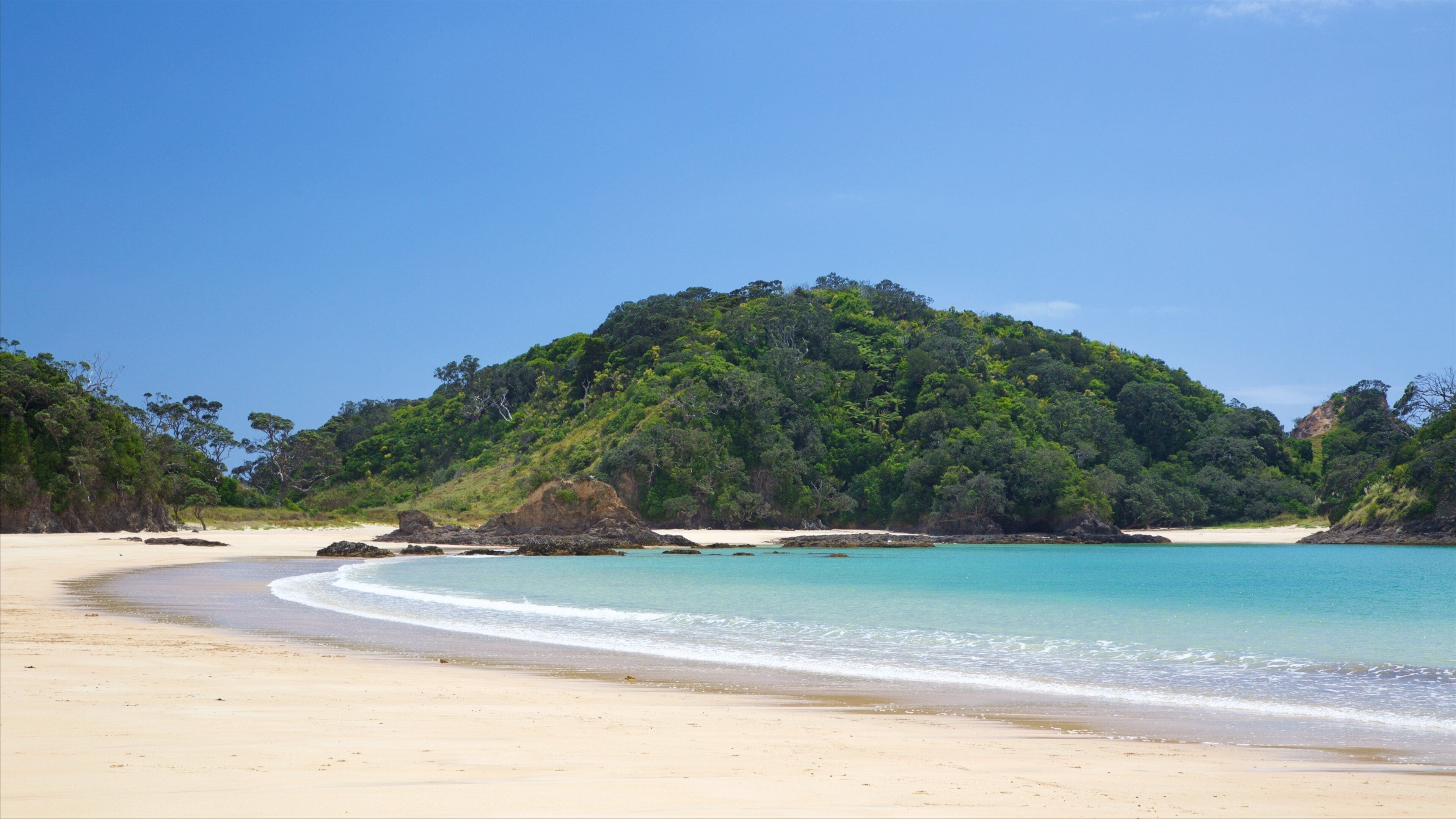 Tutukaka qui includes baie ou port et plage de sable