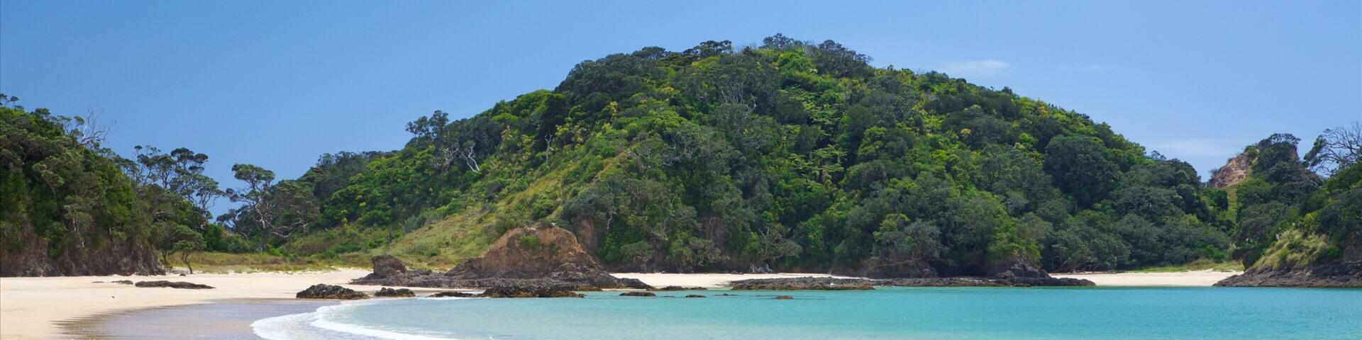 A beach with clear turquoise waters, a sandy shore, and a forested hill in the background.