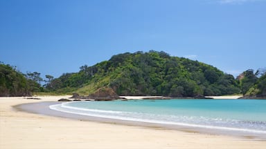 Una playa con aguas turquesas cristalinas, una orilla de arena y una colina cubierta de vegetación al fondo.
