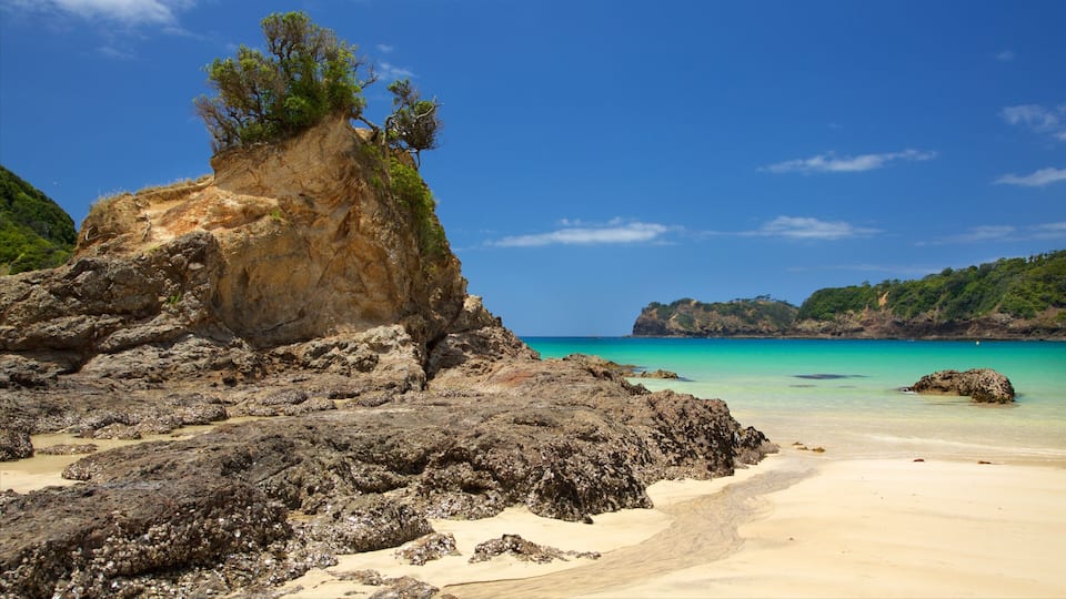 A rocky coastline with a prominent cliff and a sandy beach.