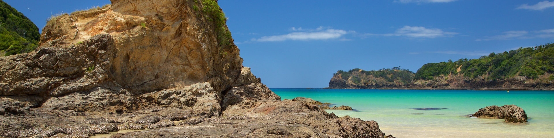 Tutukaka which includes a sandy beach, rocky coastline and a bay or harbor