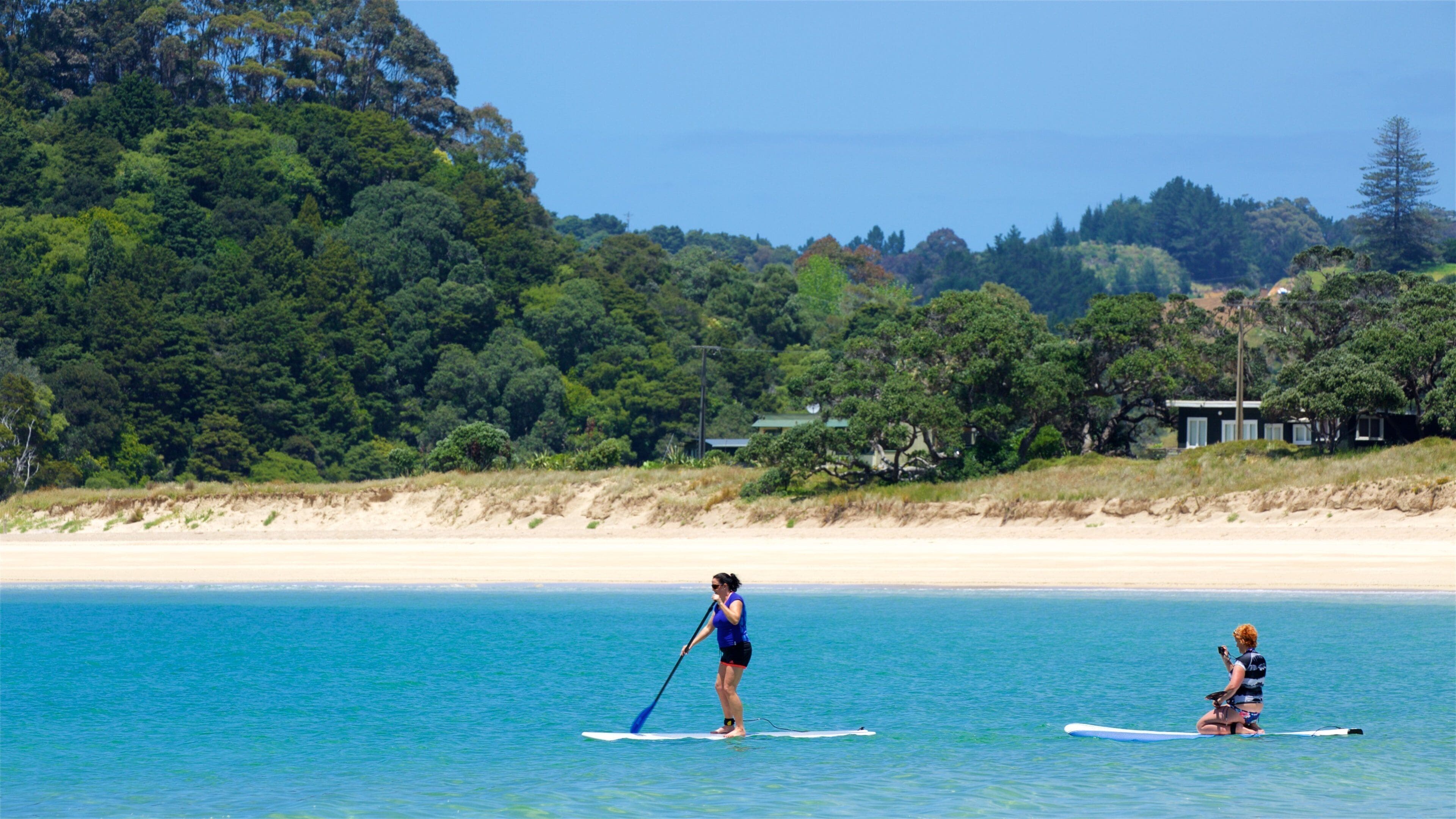 Two people paddleboarding on a calm sea with a forested coastline in the background.