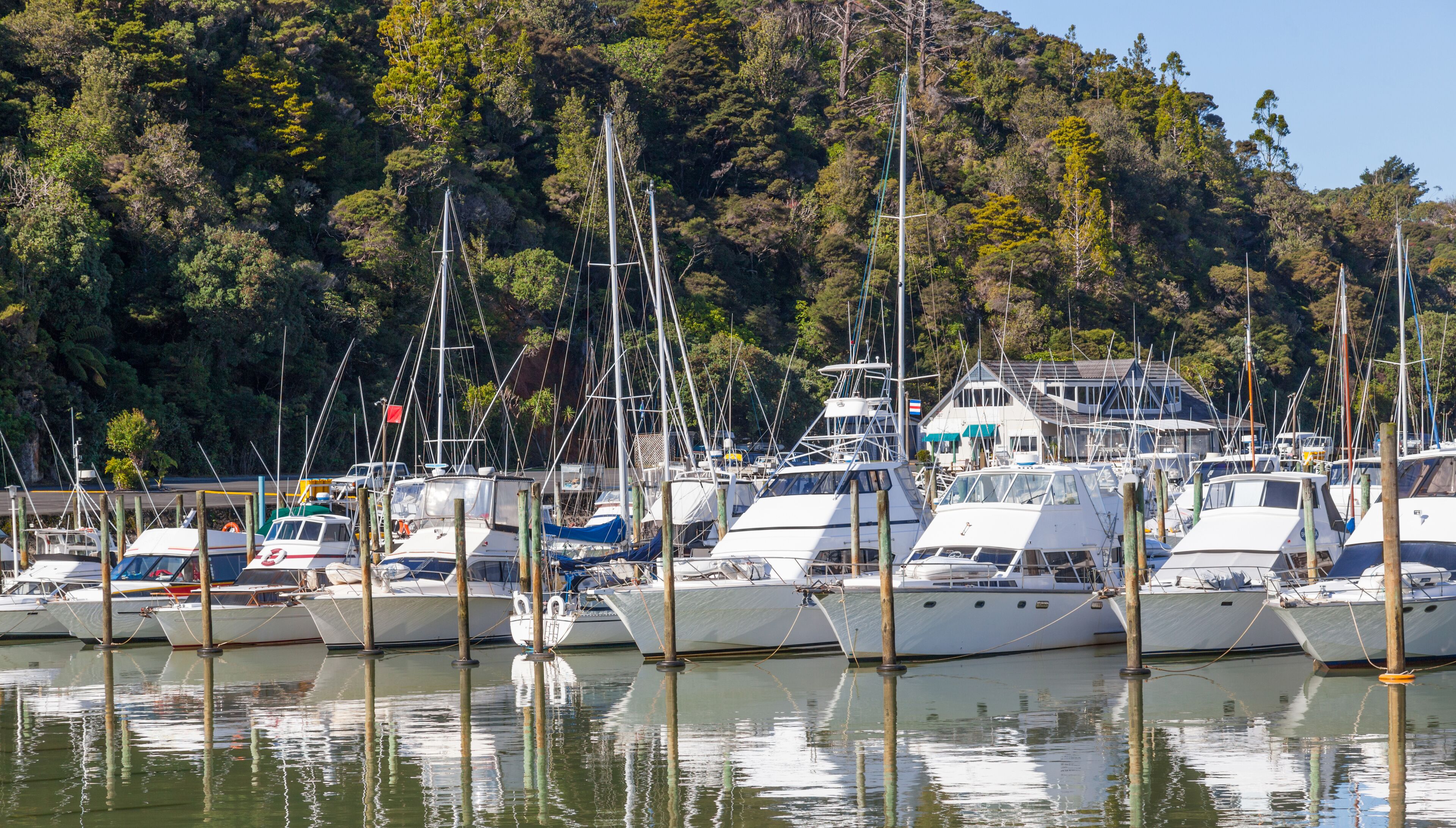 A marina with several yachts docked, surrounded by lush green hills.