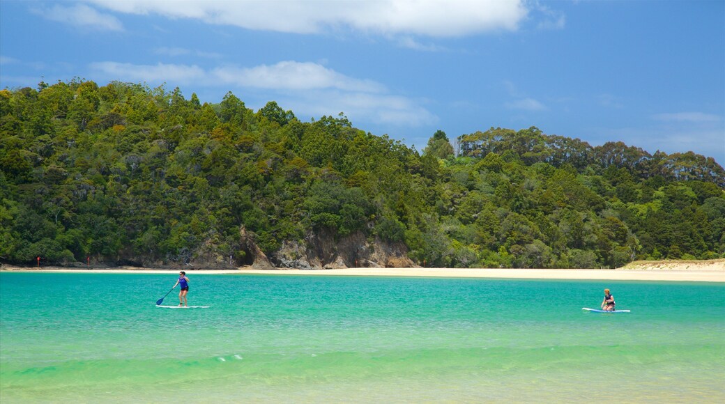 Tutukaka showing watersports, a beach and a bay or harbor