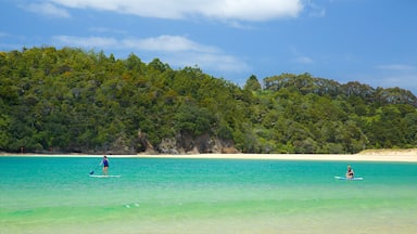 Tutukaka showing watersports, a beach and a bay or harbor
