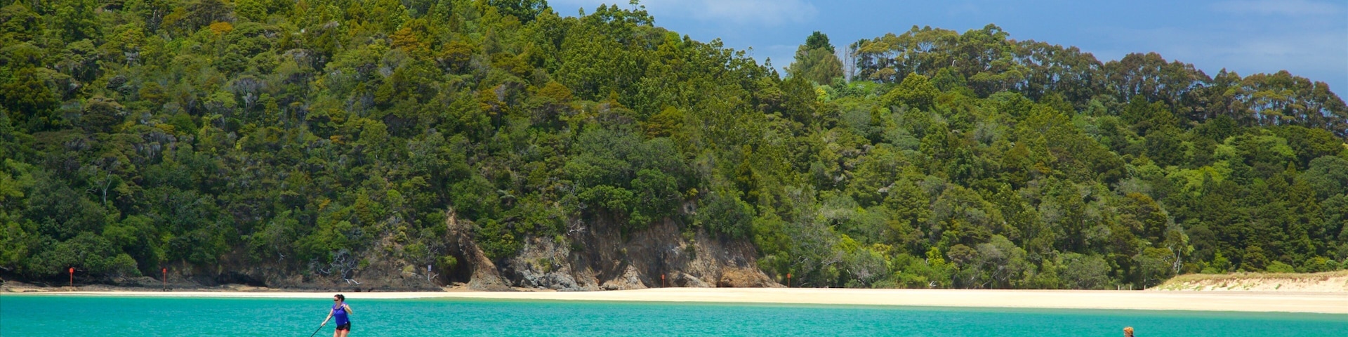 Tutukaka showing watersports, a beach and a bay or harbor