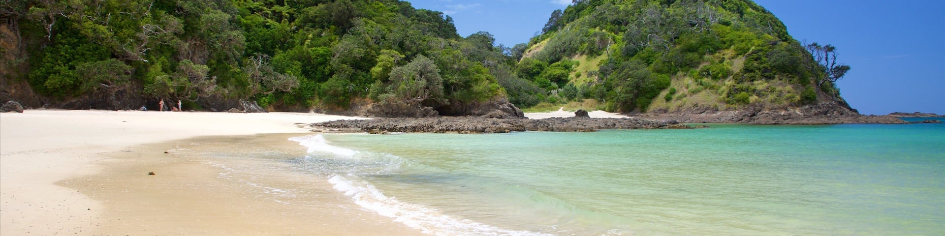 Tutukaka montrant plage et baie ou port
