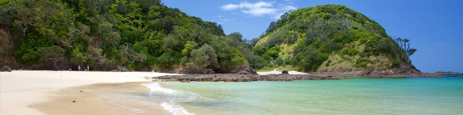 Tutukaka mostrando una playa y una bahía o un puerto