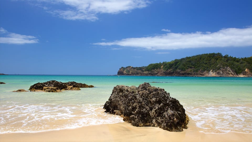 A beach with clear turquoise water, rocky outcrops, and a forested hill in the background.