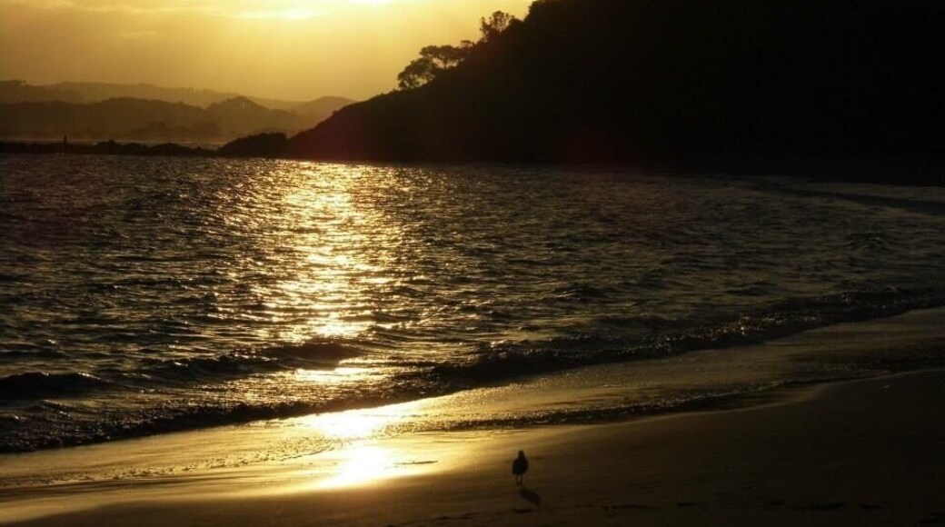 Tutukaka Coast has lots of stunning places to visit and great places to stay when going up to Northland
#aquatrove #sunset