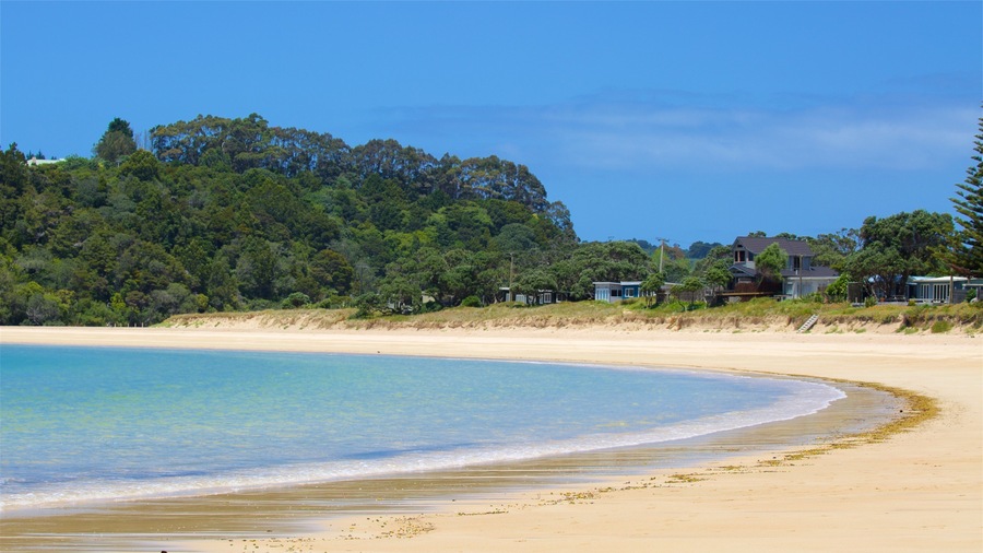 A sandy beach with clear blue water, a forested hill, and houses in the background.