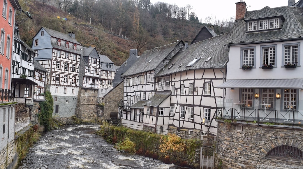 On the walk to the Christmas market, this view of the crooked buildings by the river is the first of many similar views.