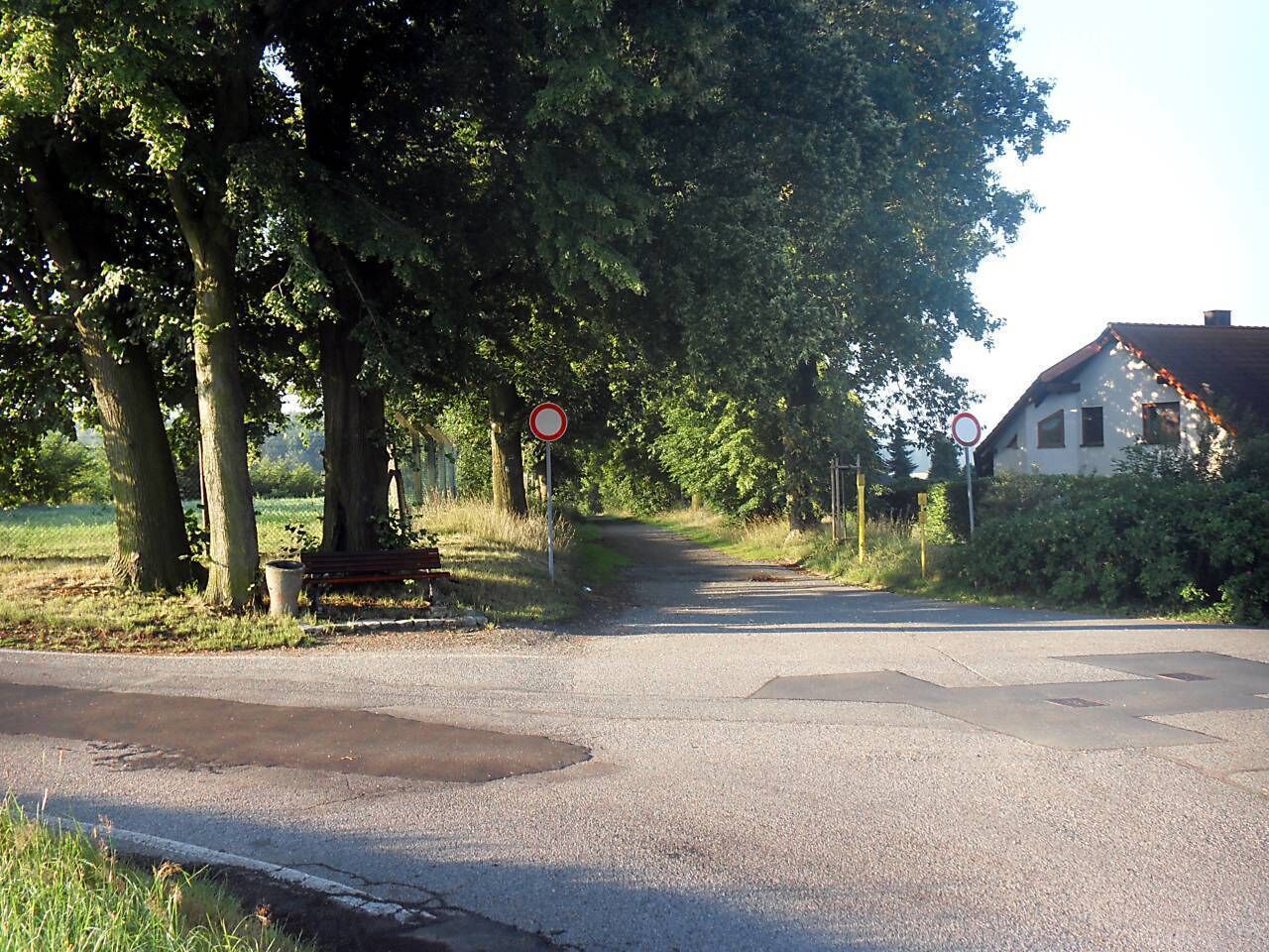 Pulsnitz; Waldstrasse Ecke Pflaumenallee