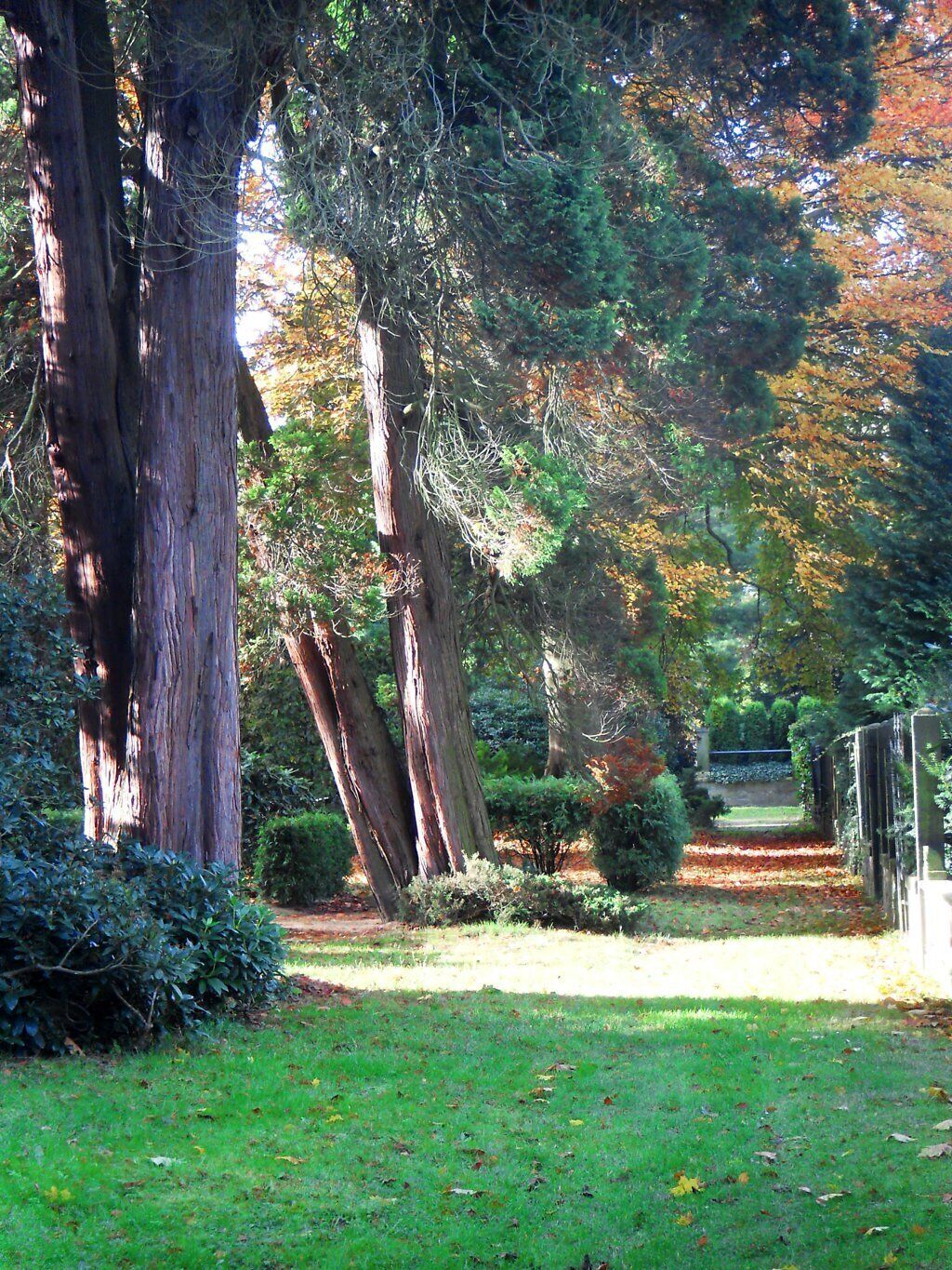 Friedhof in Pulsnitz