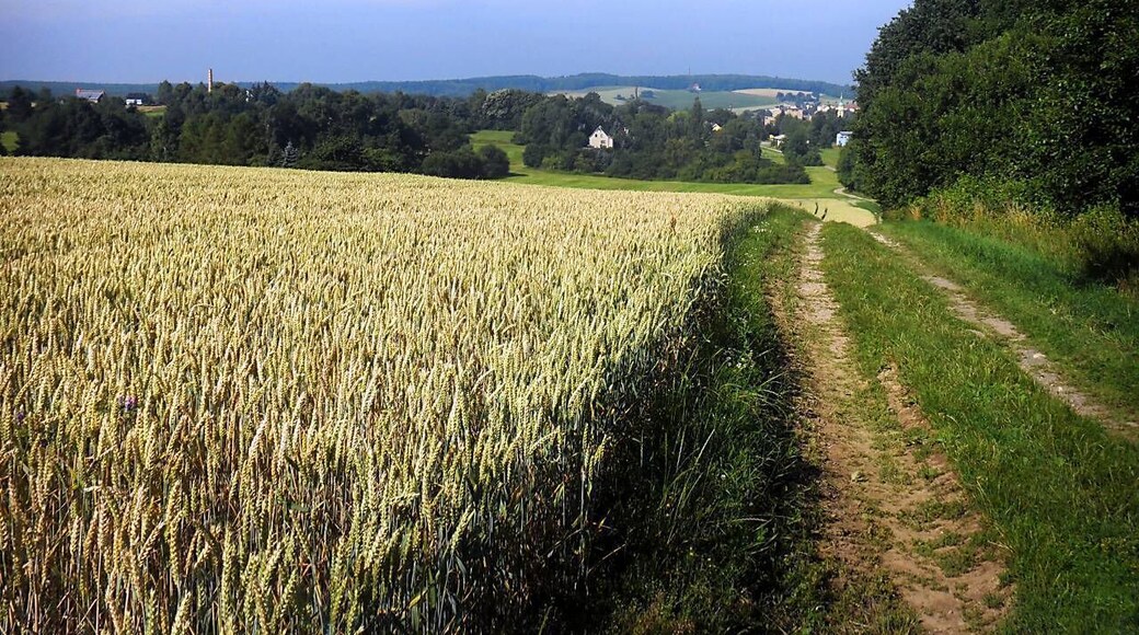 Pulsnitz, Blick vom Siegesberg