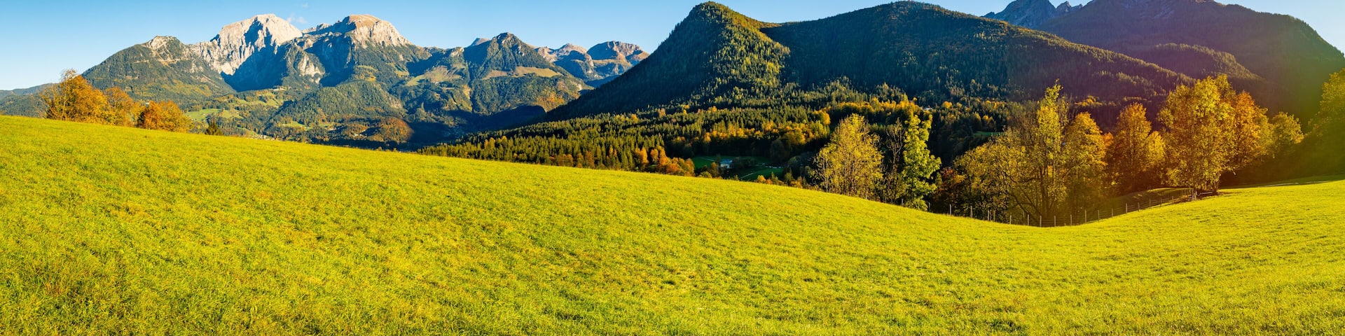 A green field, a forest, and a mountain range.