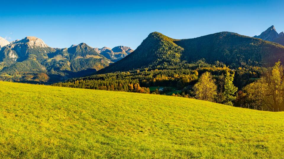 A green field, a forest, and a mountain range.