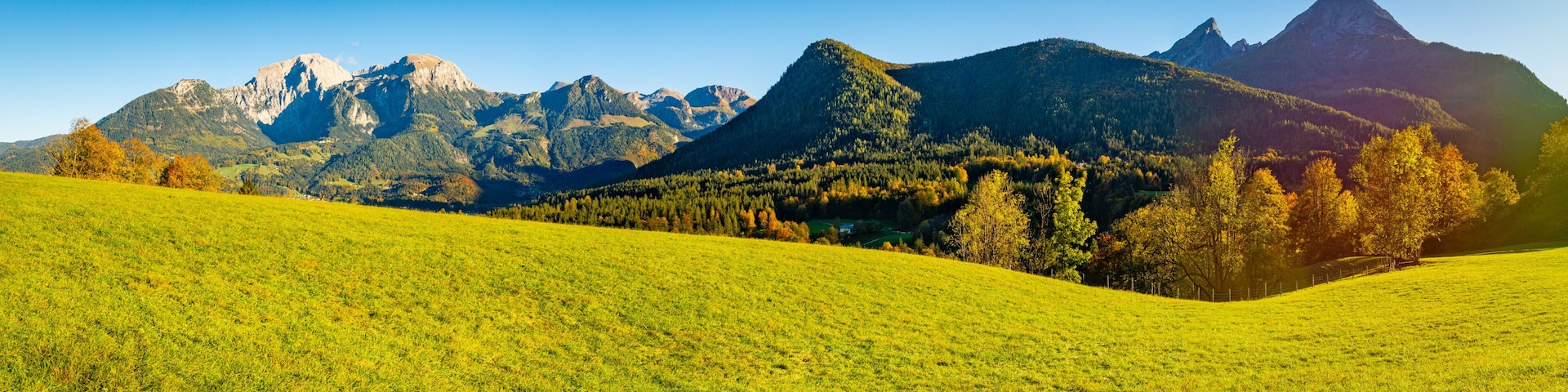 Un champ verdoyant, une forĂȘt et une chaĂźne de montagnes.