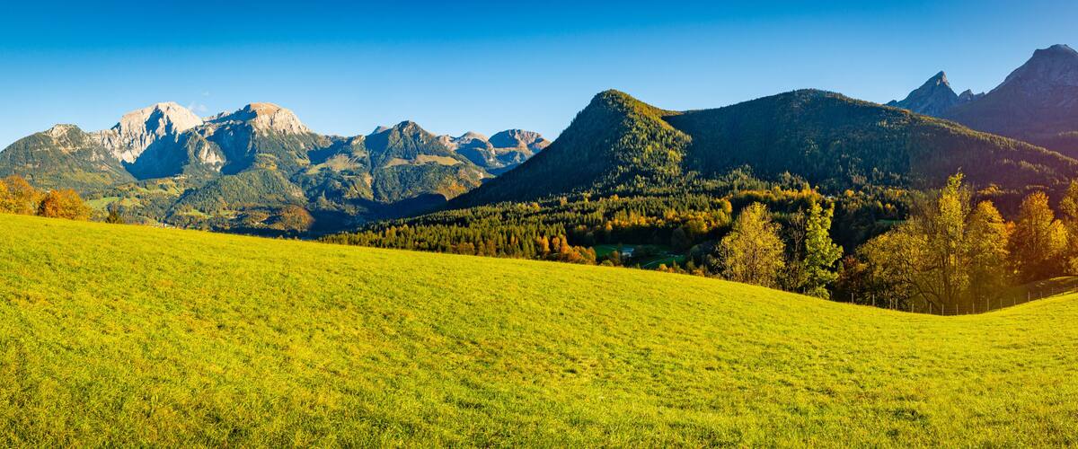 A green field, a forest, and a mountain range.