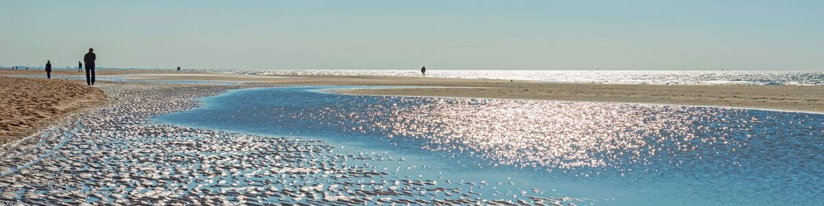 Strolling on a beach in moonlight