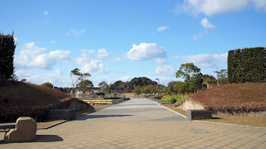Shinjo Park in Tanabe, Wakayama prefecture, Japan.