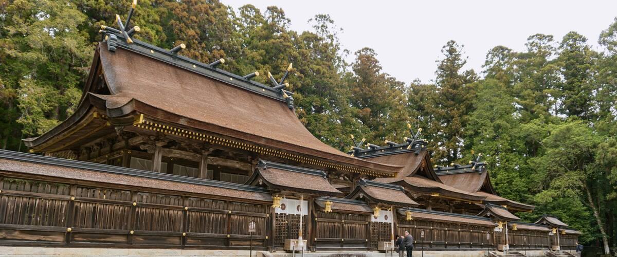 Un temple japonais traditionnel composé de plusieurs bâtiments, de structures en bois et entouré d’une forêt.