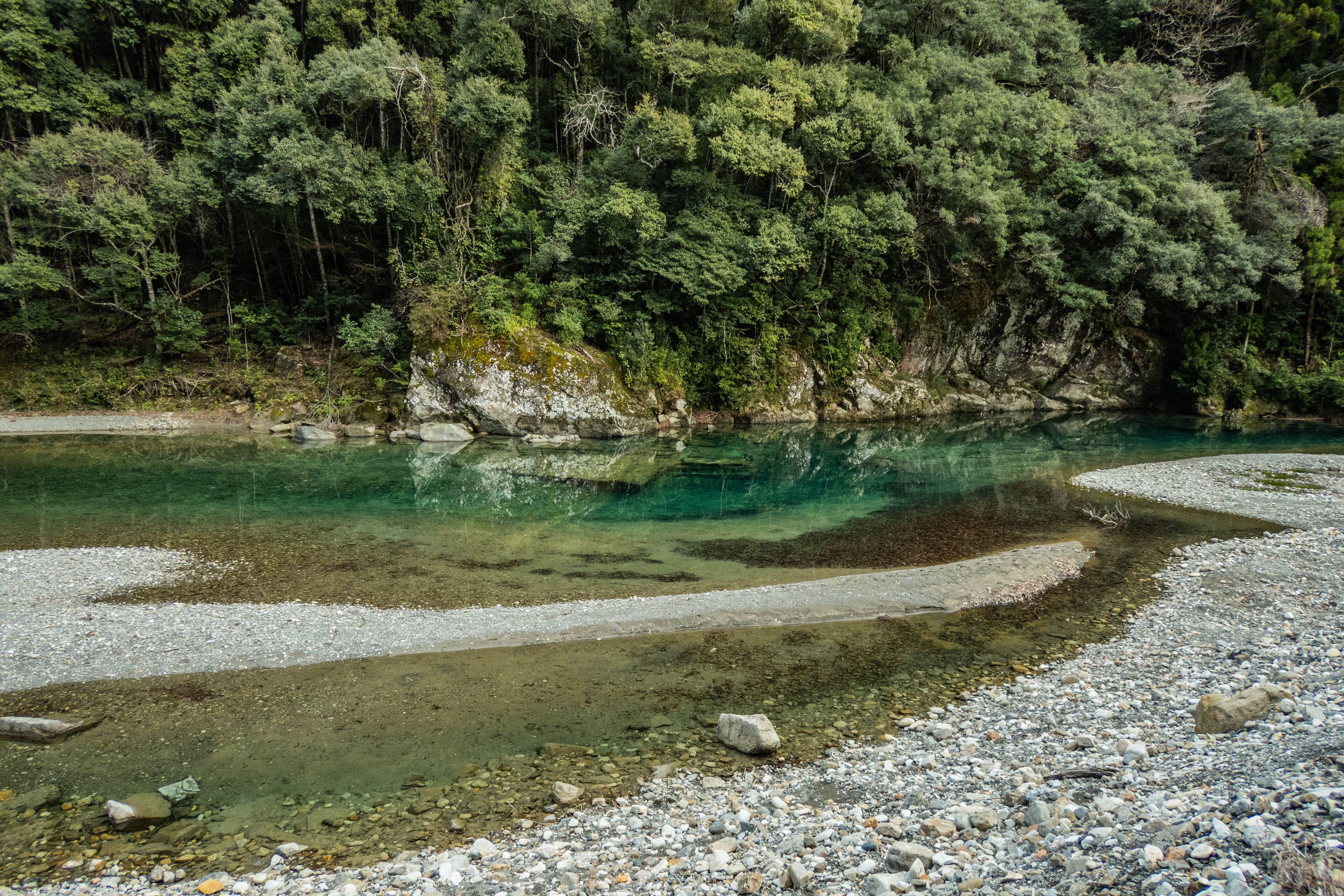 A clear river with pebbles and rocks, surrounded by dense green forest.