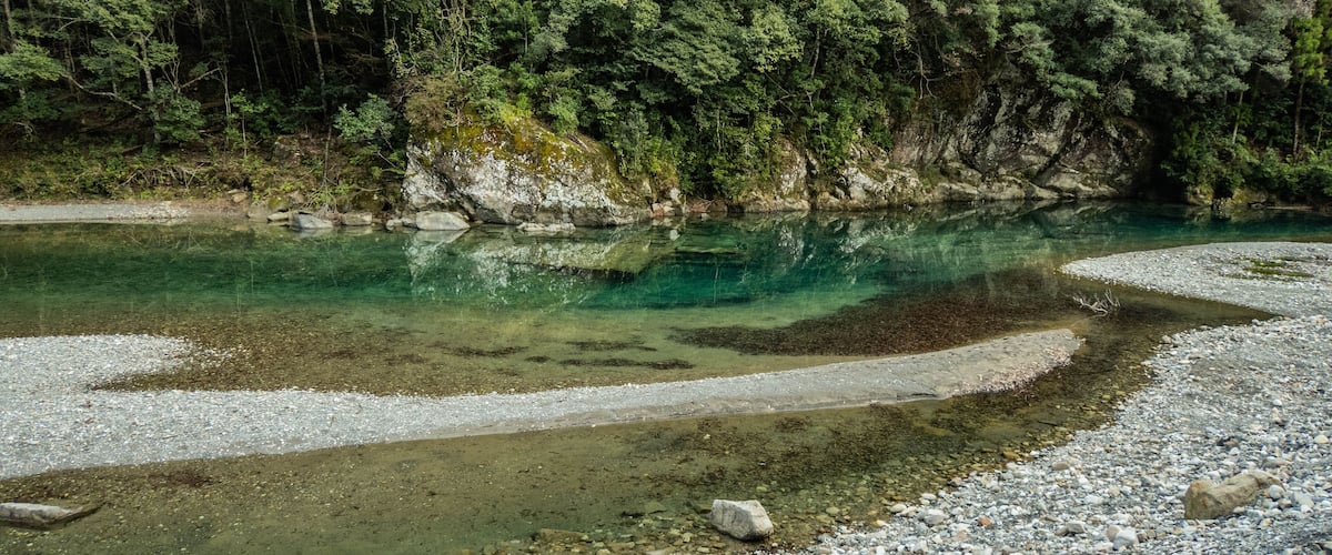 A clear river with pebbles and rocks, surrounded by dense green forest.