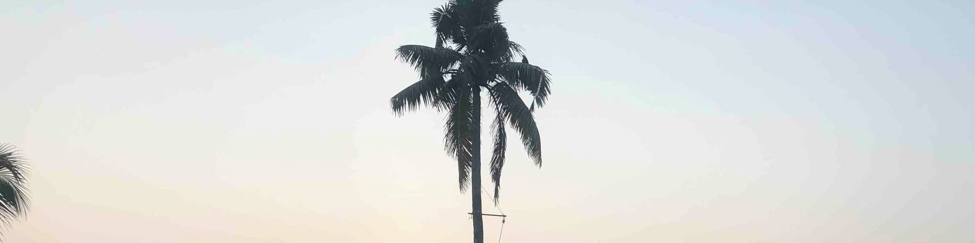 Beautiful sunrise on the backwaters of Kerala, South India. Tranquil and calming Lake Vembanad.