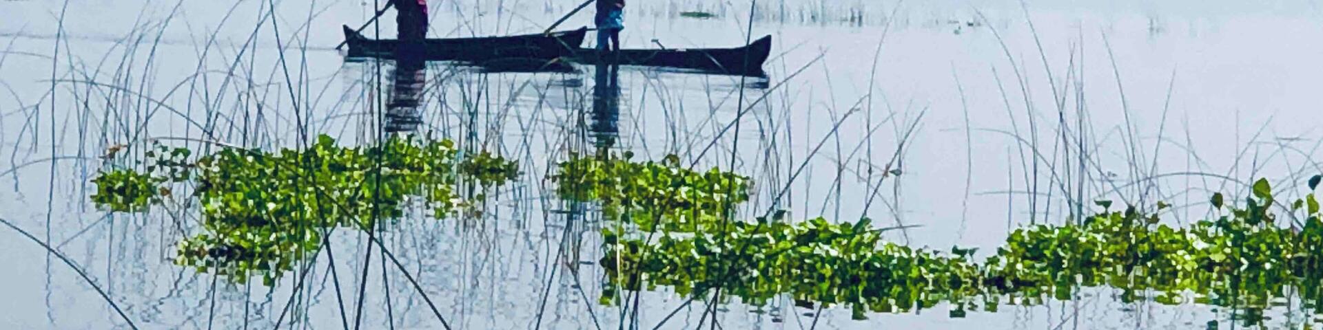 Tranquil waters on a foggy morning !