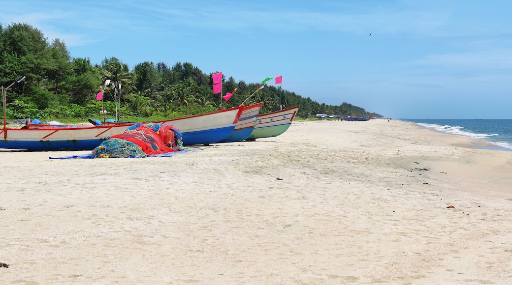 Tropical white sand beach of mararikulam, Kerala, India