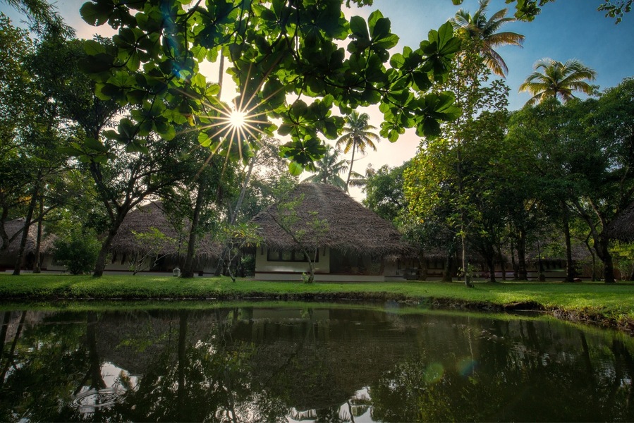 A serene scene from Kerala
