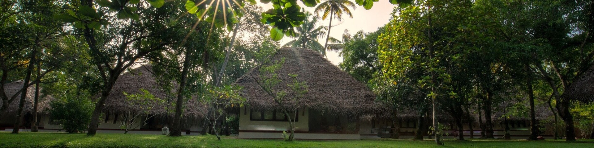 A serene scene from Kerala