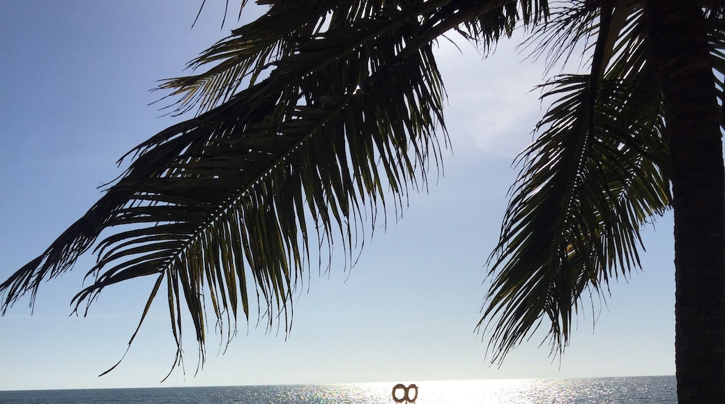 Marari is a beautiful beach close to around 30 kms from alleppey. Enjoy the evening with a walk on this beautiful beach