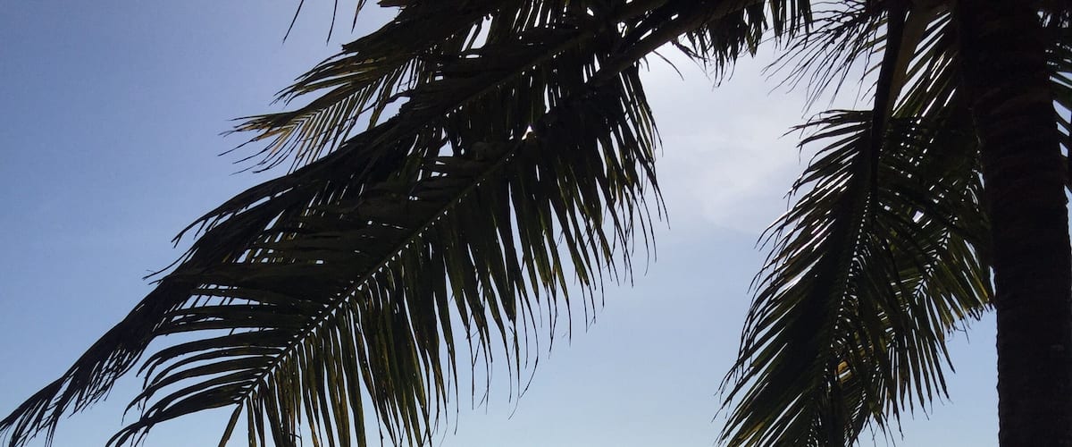 Marari is a beautiful beach close to around 30 kms from alleppey. Enjoy the evening with a walk on this beautiful beach